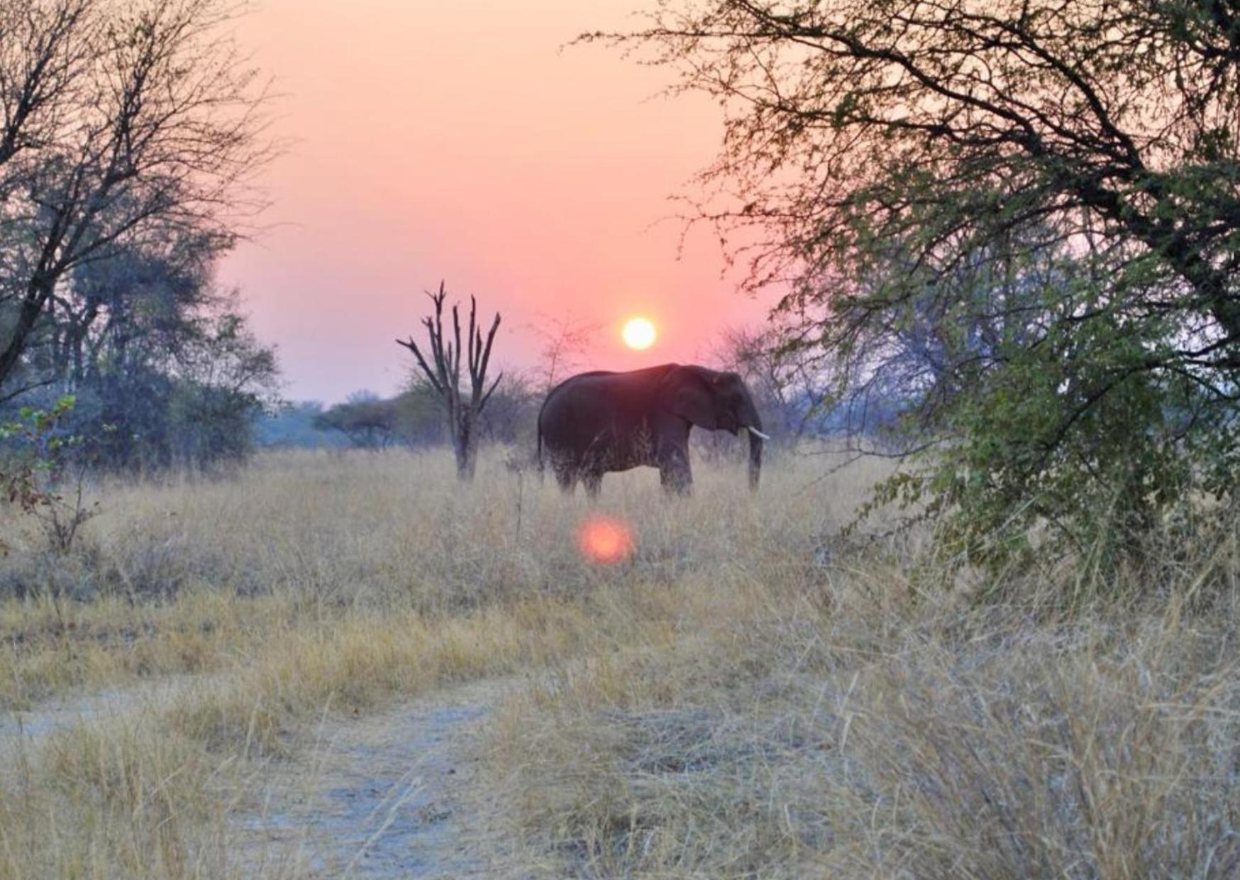 Phazama Farm Villa Maun Bagian luar foto